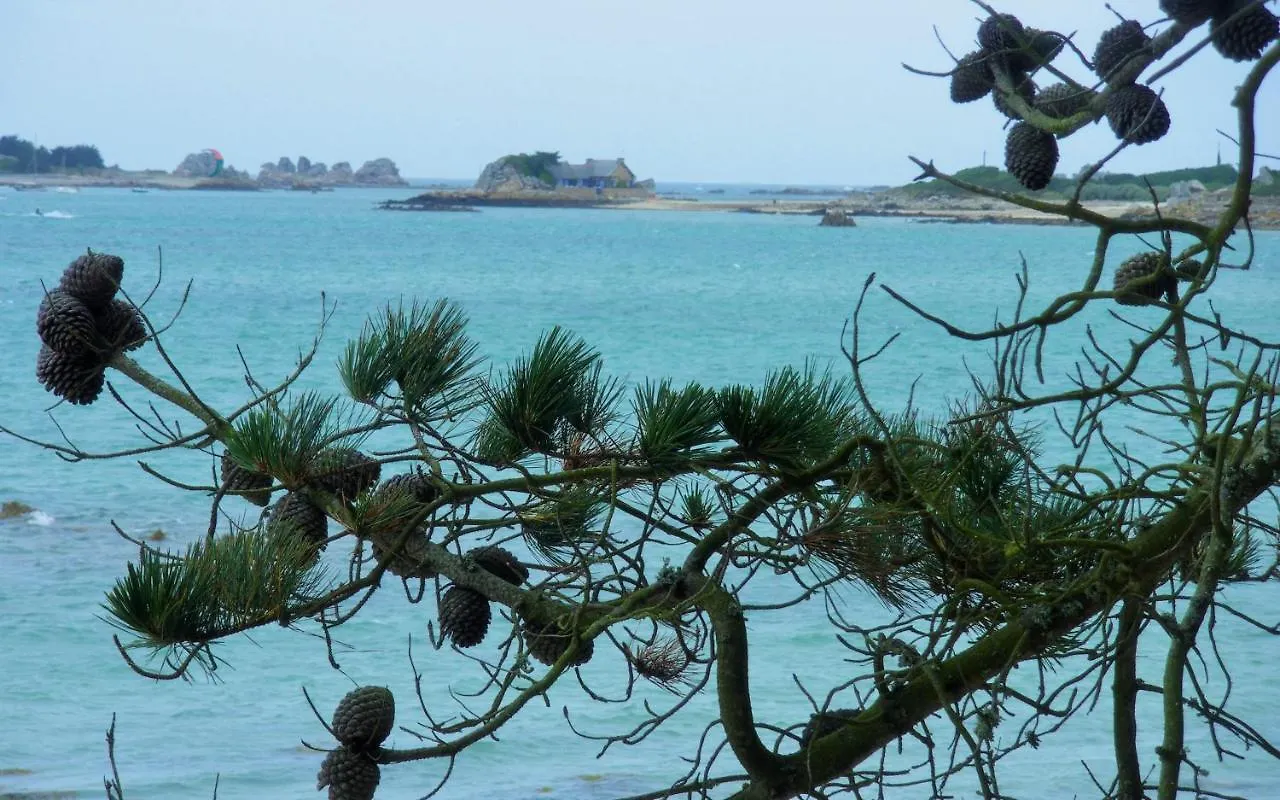 Les Ajoncs Bed & Breakfast Plougrescant